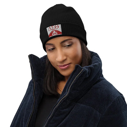 DELTA SIGMA THETA ORGANIC RIBBED BEANIE - B&R African Styles