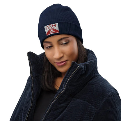 DELTA SIGMA THETA ORGANIC RIBBED BEANIE - B&R African Styles