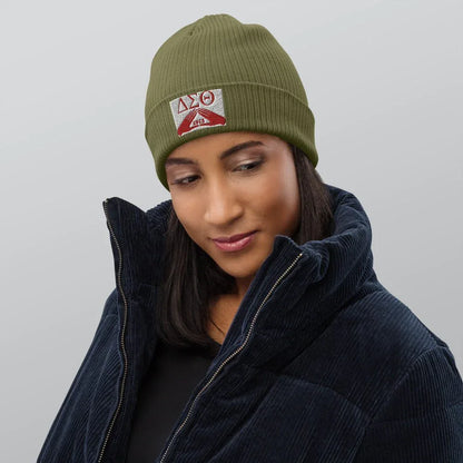 Delta Sigma Theta Organic ribbed beanie - B&R African Styles