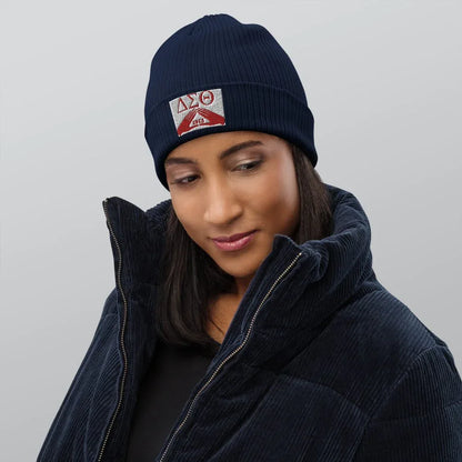 Delta Sigma Theta Organic ribbed beanie - B&R African Styles