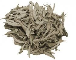 White Sage 9 inches - B&R African Styles
